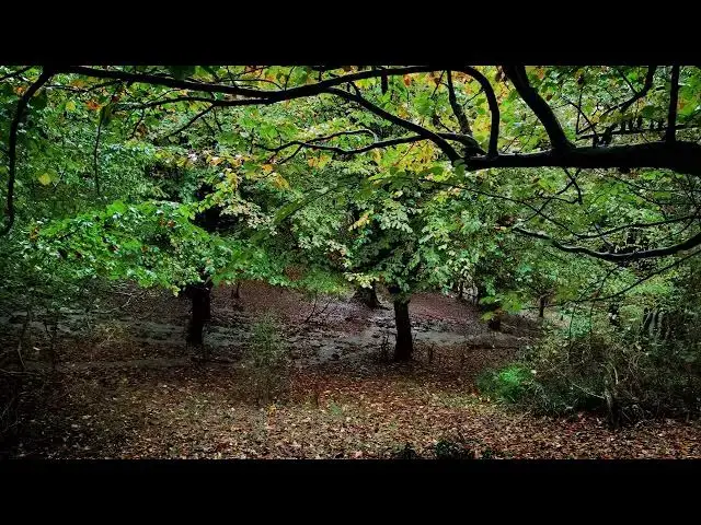 Video thumbnail for Rain Sound for Sleep