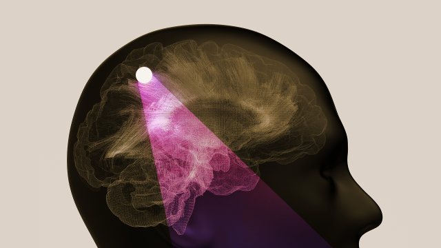 Video thumbnail for How your brain builds and edits your identity