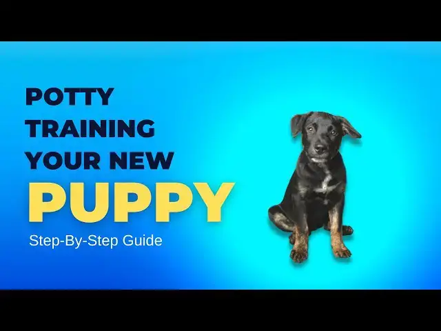 'Video thumbnail for Step-By-Step Guide To Potty Training Your New Puppy Easily | Tips And Tricks For Success'