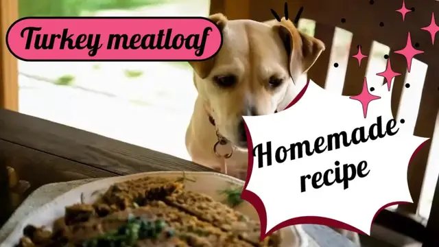 'Video thumbnail for Turkey meatloaf for dog'