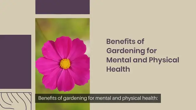 Video thumbnail for Benefits of gardening for mental and physical health