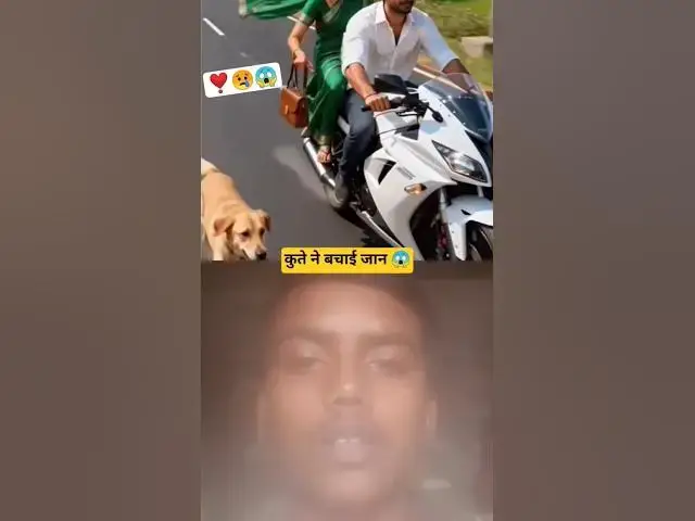 Video thumbnail for #Cute dog 🐕 steals bicycle 🚲 for his child 😭 #ai​​ #save​​ #dog​​ #pets #love #fun