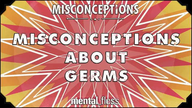 Video thumbnail for Misconceptions about Germs and Hygiene - mental_floss on YouTube (Ep. 12)