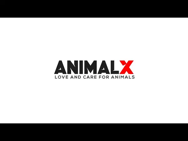 'Video thumbnail for Animal X - Love and Care for Animals (Initial Intro of Animal X Logo)'