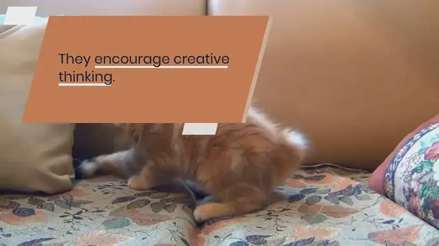 Video thumbnail for Brains Teaser Ideas