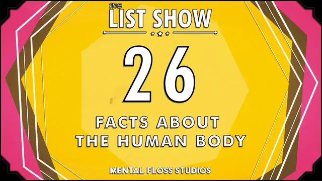 Video thumbnail for Only Humans Have Chins and More Facts About the Human Body | Mental Floss List Show | 532