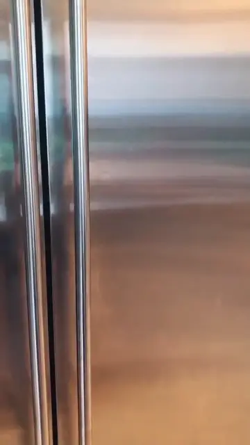 Video thumbnail for How to grow an 🍎 apple tree in 5 steps!