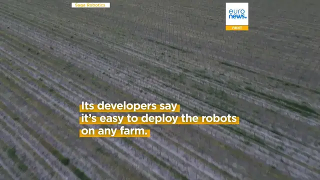 Video thumbnail for Meet Thorvald, the robot protecting strawberries and grapes |Euronews Tech Talks