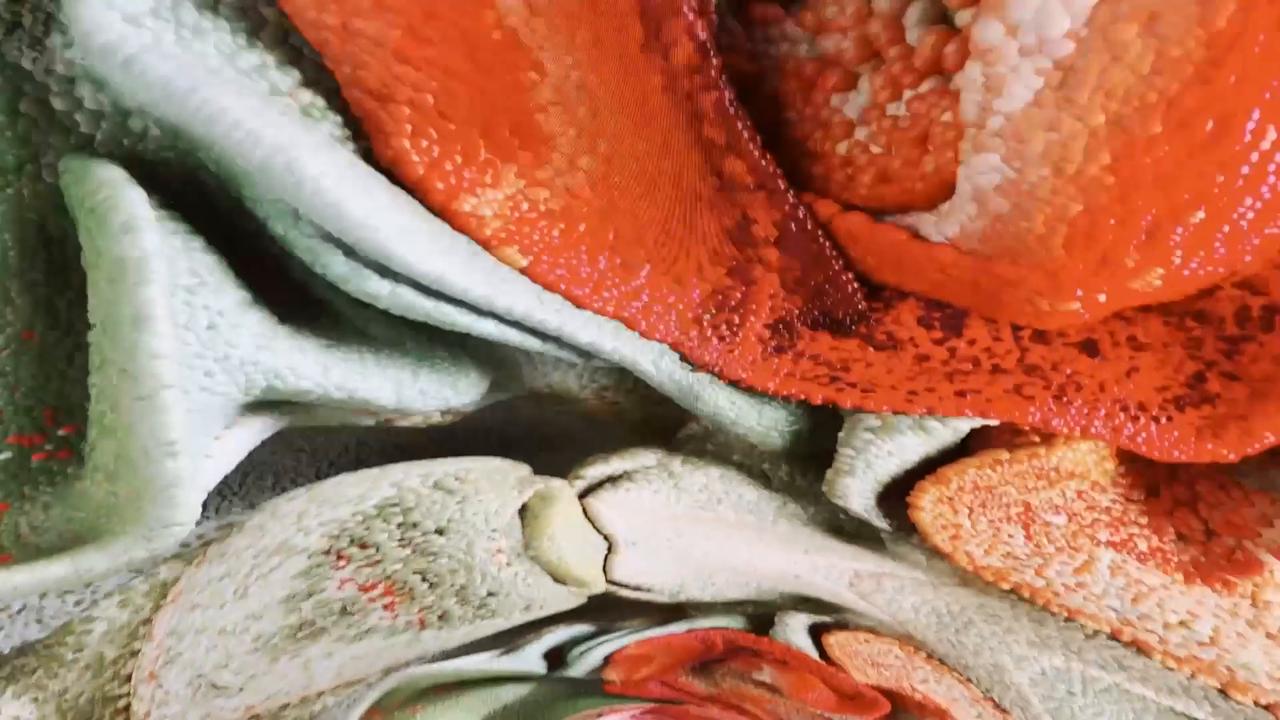 Video thumbnail for Slovenia: Digital art exhibition opens in Slovenia’s Nova Gorica tunnel as part of European Heritage Days.
