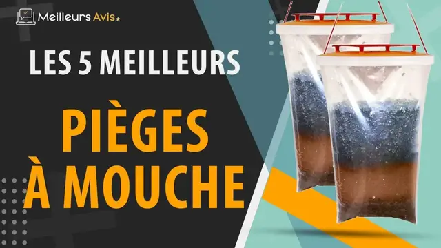 Video thumbnail for ⭐️ MEILLEUR PIÈGE A MOUCHE - Avis & Guide d'achat (Comparatif 2023)