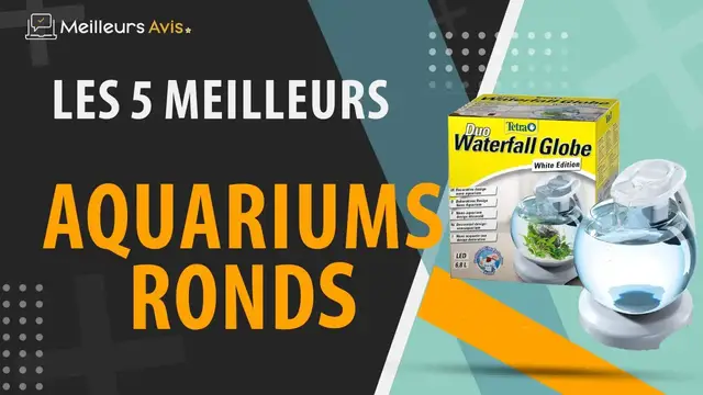 Video thumbnail for ⭐️ MEILLEUR AQUARIUM ROND - Avis & Guide d'achat (Comparatif 2023)