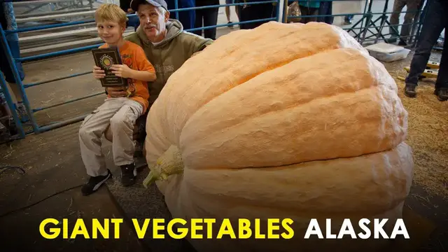 Video thumbnail for 10 Interesting Facts About Alaska