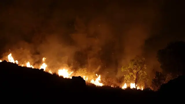 Video thumbnail for Italy: Wildfires continue across Italy’s Sicily island.