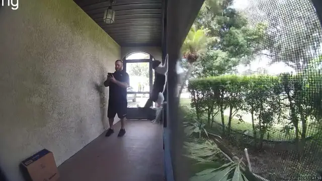 Video thumbnail for Deaf Cat Surprised by FedEx Delivery