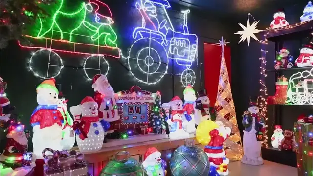 Video thumbnail for Christmas New Year Christmas Tree  Winter