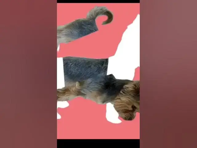 Video thumbnail for Reto imposible #entretenimiento #desafiosmentales #retosvirales