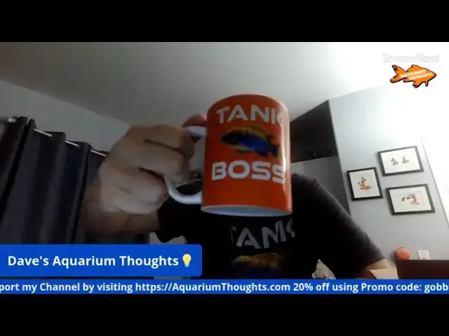 Video thumbnail for Unboxing Custom Aquarium Thoughts Coffee Mugs - Swim to 1K
