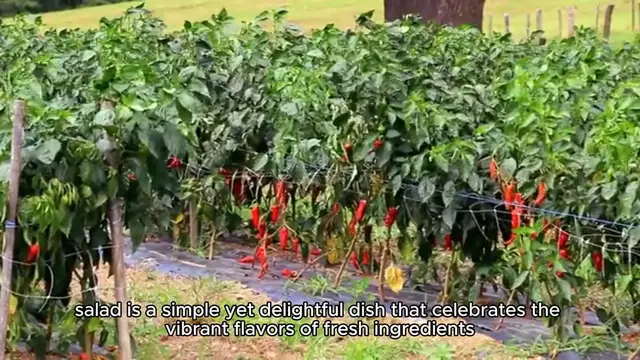 'Video thumbnail for Caprese Salad Recipe'