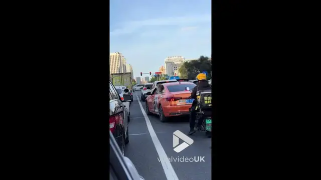 'Video thumbnail for VV5028 Dogs bark at each other through car windows'