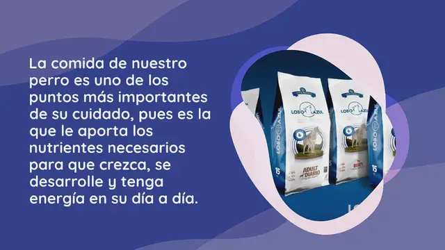 Video thumbnail for 10 marcas de piensos para perros españolas