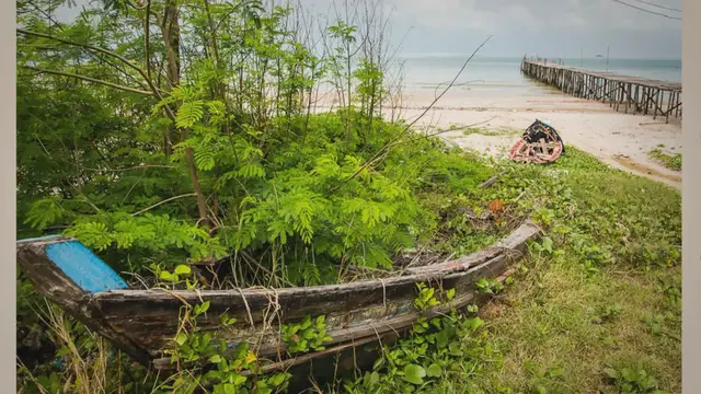Video thumbnail for Exploring the Depths: Thailand's Top Scuba Diving Destinations