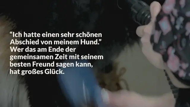 Video thumbnail for Abschied von meinem Hund: Tipps für Trauer & Abschied