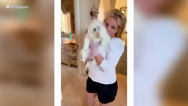 Video thumbnail for UNCAPTIONED: Britney Spears wants to start selling homemade soap and candles.