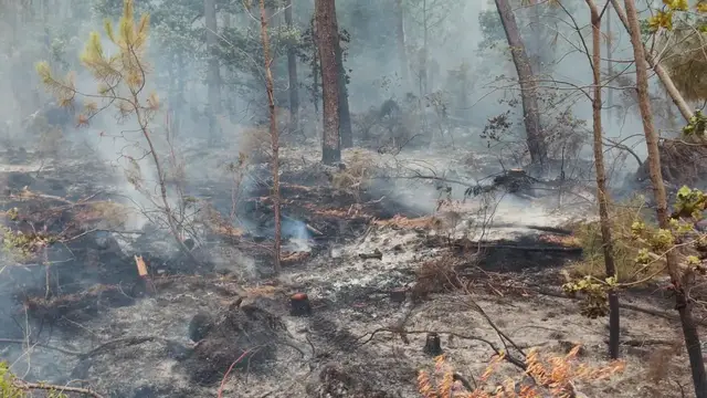 Video thumbnail for France: Wildfire continues to spread in France’s Gironde department​​​​​​​.
