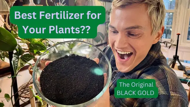 Video thumbnail for Great Organic Fertilizer - WORM CASTINGS - for all Plants