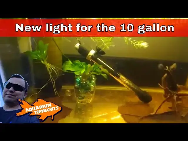 Video thumbnail for Unboxing a new light, The Nicrew ClassicLED - Aquarium Thoughts