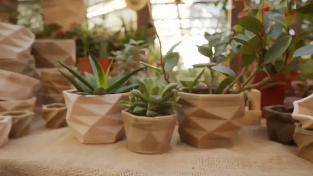 'Video thumbnail for Miniature Hostas for Pots: Perfect Small-Space Gardening'