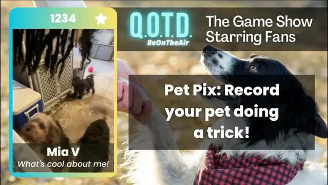 Video thumbnail for Our Favorite Answers: Mia's dog are non-stop barkers. So... cute!