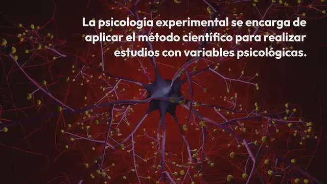 Video thumbnail for Psicología experimental: ¿en qué consiste?