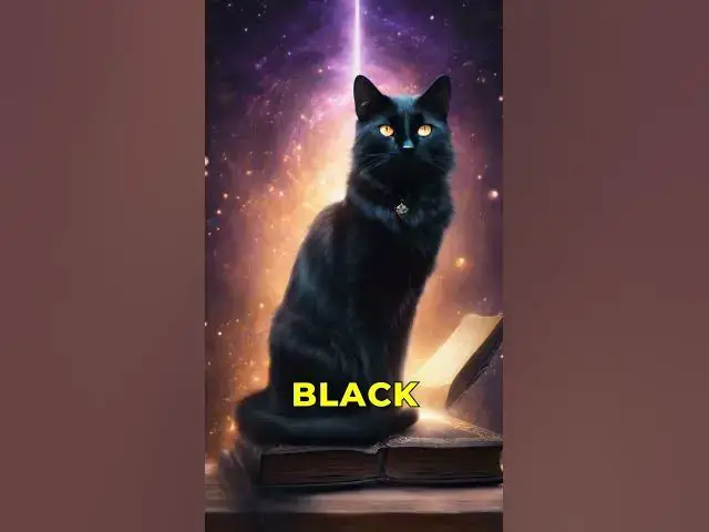 Video thumbnail for Magical Fun: Witchcraft and Wicca