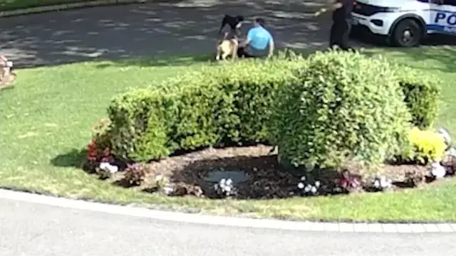 Video thumbnail for Two dogs removed from Dix Hills home after attack caught on video