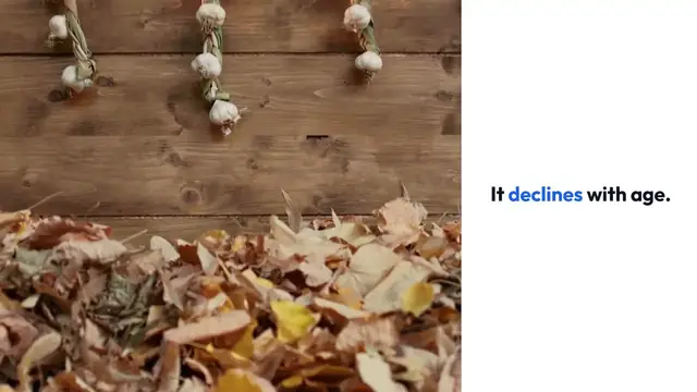 Video thumbnail for Boosting NAD for Longevity