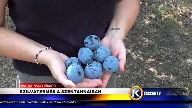Video thumbnail for SZILVATERMÉS A SZENTANNAIBAN