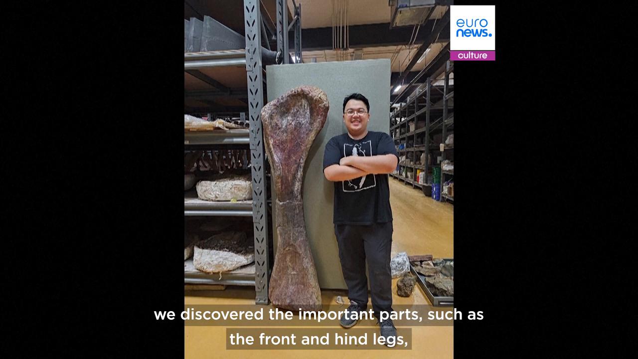 Video thumbnail for Thailand's prehistoric giant: New dinosaur is biggest ever found in Southeast Asia
