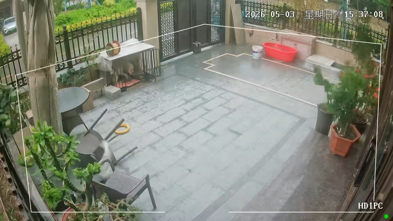 Video thumbnail for Dog escapes shelter moments before cage is blown away in Shandong, China
