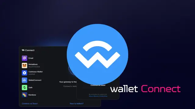 'Video thumbnail for Wallet Connect'