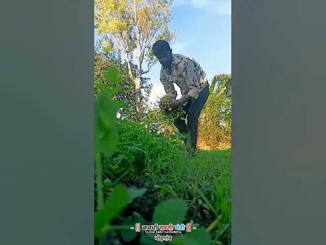 Video thumbnail for short vlogs 2026 kawardha best sabji #shortvideo #vlog #2026 #food