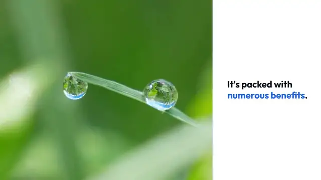 Video thumbnail for Benefits of Chlorophyll Water