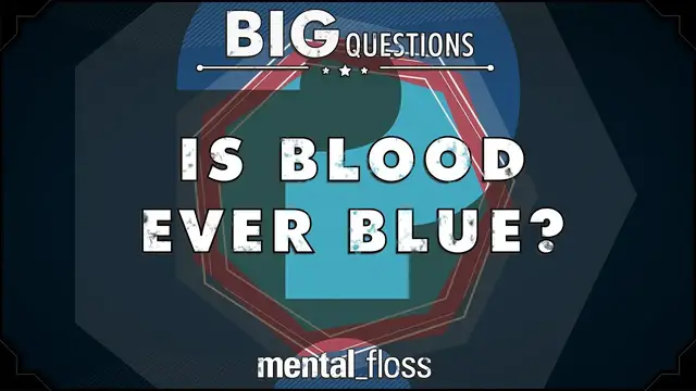 'Video thumbnail for Is blood ever blue? - Big Questions (Ep. 17)'