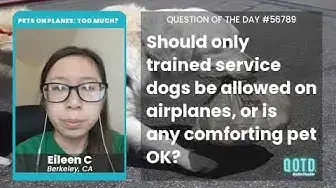 Video thumbnail for Eileen C believes there should be limits on what service animals should be on planes.