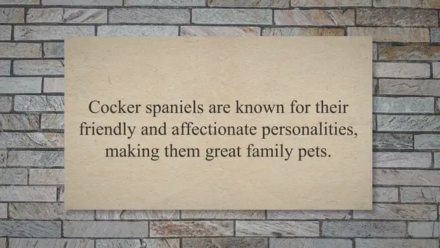 Video thumbnail for Blue Roan Cocker Spaniel Names: Inspiration for Naming Your New Pup