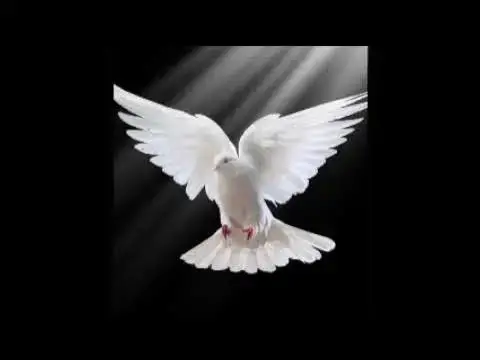 'Video thumbnail for At Last The Young Dove Flies'