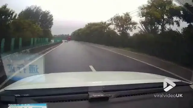 'Video thumbnail for VV5019 Truck loses pigs on highway'