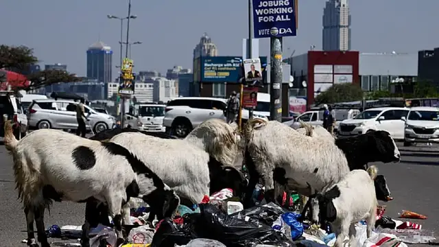 Video thumbnail for Johannesburg’s waste crisis leaves communities surrounded by illegal dumps