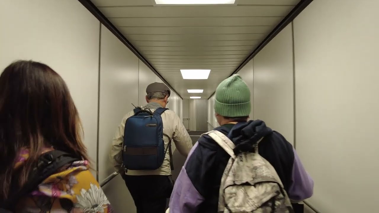 Video thumbnail for San Francisco Airport International Arrival SFO