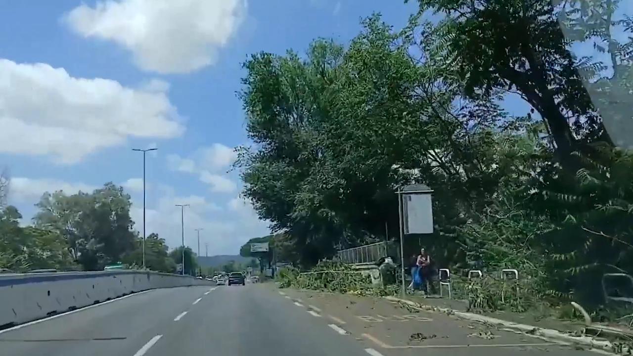 Video thumbnail for Italy: Dozens of trees downed as severe weather disrupts traffic in Rome.